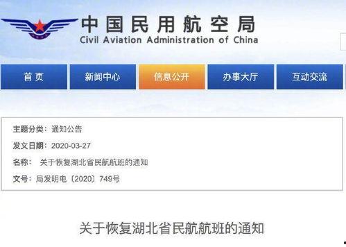 武汉热搜爆料最新消息,最新爆料揭示惊人真相！